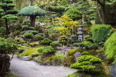 Cum îți amenajezi o mică grădină japoneză?