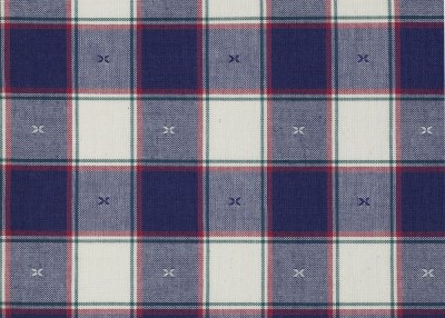 Tesatura PISA, culoare AZUL 2, Vidal Rius